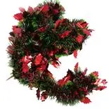 Beteala Holly cu frunzulite stralucitoare 9cm x 2m rosu