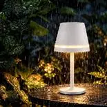 Lampă de masă LED, dimabila,44 LED-uri, 3 temperaturi de culoare, USB-C, 2400 mAh, 110 lm, IP54, alb