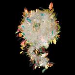 Beteala iridescenta cu frunzulite Holly, 9cm x 2m, transparenta cu irizatii